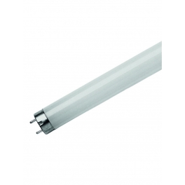 BC TR CFL 36W T8 G13 3350lm 4200K 120cm fénycső 15000h