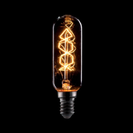 EG VINTAGE LAMP T25 40W E14 2700K 25x80mm GOLDEN